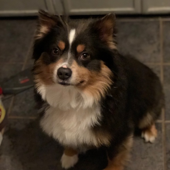 Meet your Posher, Addysen - Picture 1 of 1